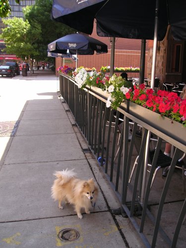 Lance outside Bar Louis.