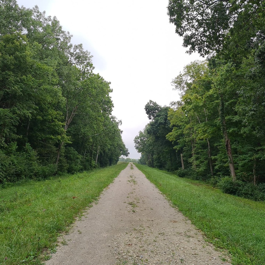 5 photos each from yesterday’s walk along the Lockington Dam & today’s