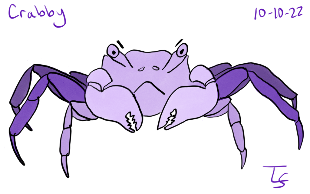 drawing: black line drawing of a vampire crab, painting the purplish color that it is. Traced.