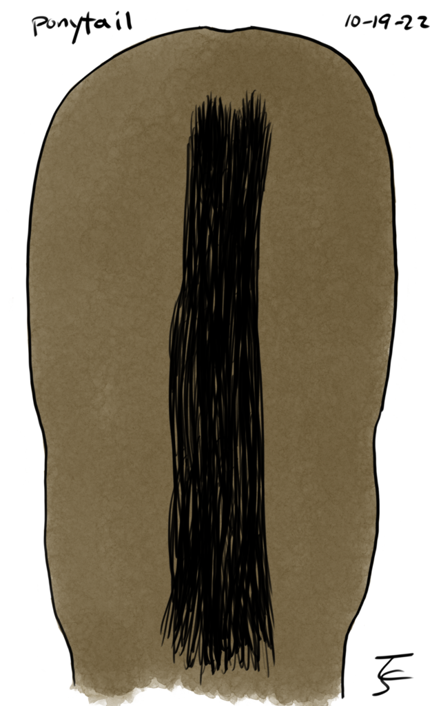 drawing: the rear end of a horse (colored brown) with a black tail.