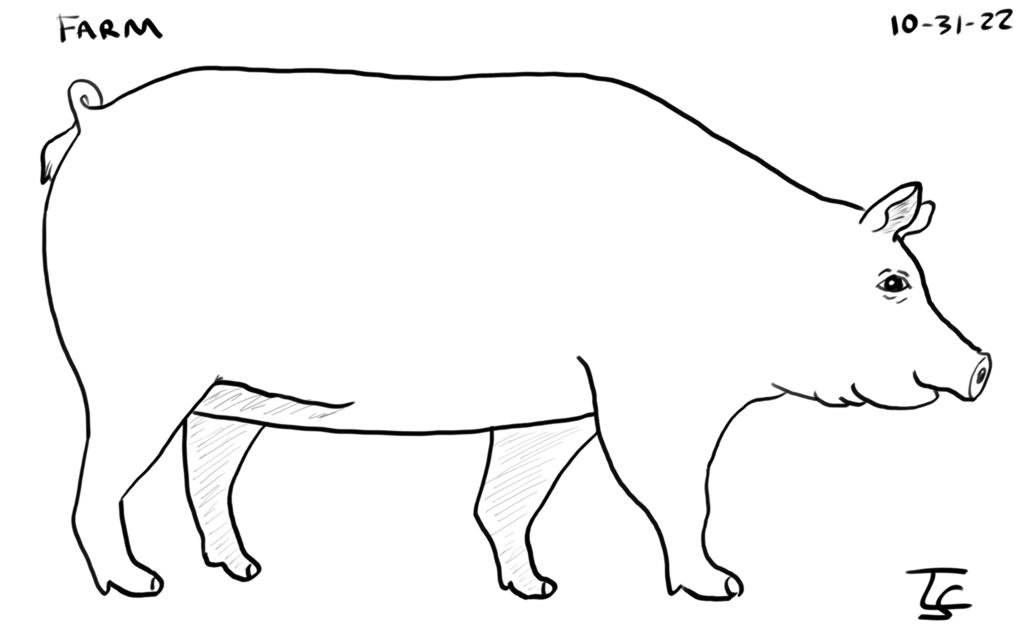 drawing: a black line drawing of a pig. I used a how2draw tutorial to guide me on it.