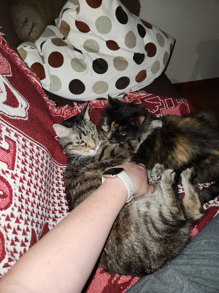 Photo of two cats, one tabby, one tortie/fluffy cuddled together with a person's hand reaching over to scritch the belly of the tabby.